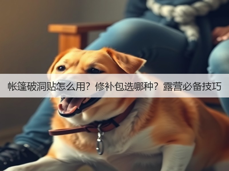 帐篷破洞贴怎么用？修补包选哪种？露营必备技巧