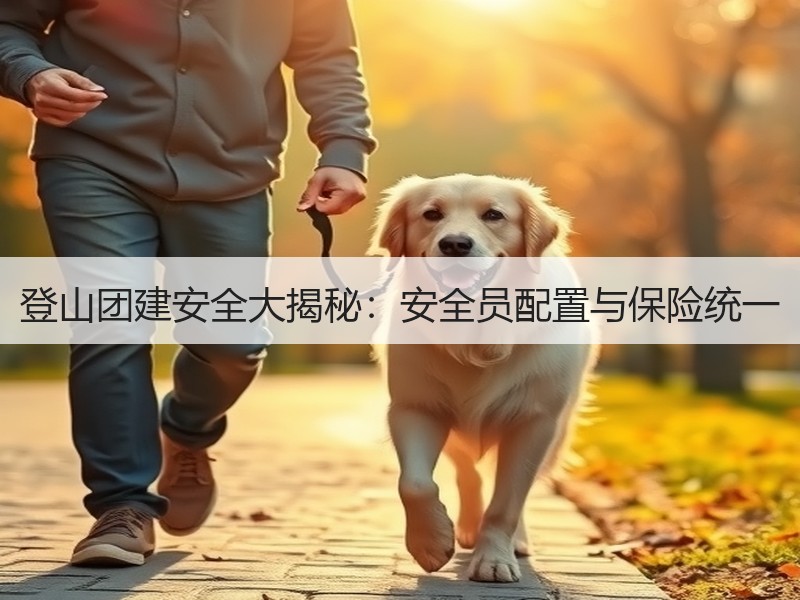 登山团建安全大揭秘：安全员配置与保险统一